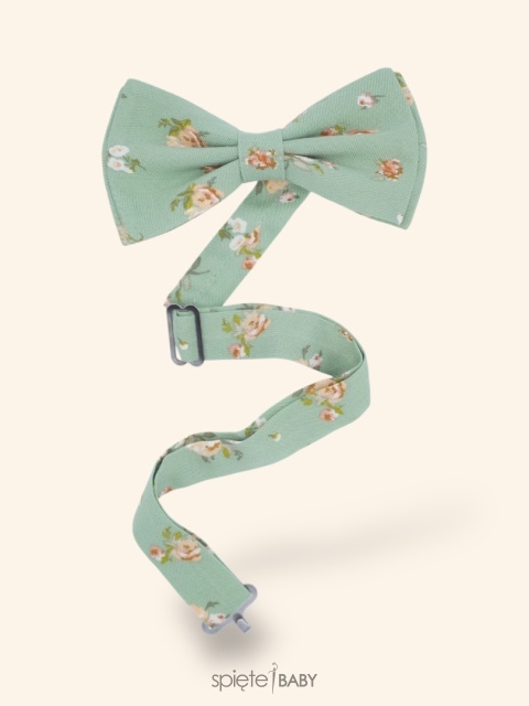 Mucha - pistacja